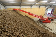 De SL80 hallenvuller wordt in de landbouw toegepast voor het vullen van opslagplaatsen met aardappels. '
