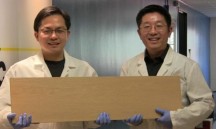 Onderzoekers Liangbing Hu en Ti Leng tonen het superhout (Foto: Universiteit van Maryland) '