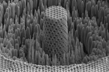 Nanotitanium bezien met de microscoop.'