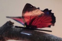 Flinterdunne actuator laat vlindervleugels fladderen.'