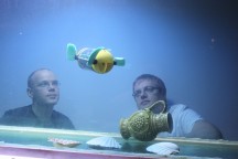 Onderzoekers Asko Ristolainen en Taavi Salumäe kijken naar een aquarium, waarin hun creatie rondzwemt.'