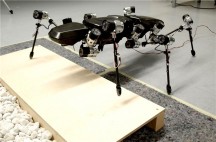 De zespotige robot Hector is geïnspireerd op een wandelende tak. (Foto: Bielefeld University)'