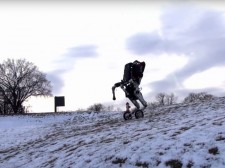 Boston Dynamics Handle robot 2