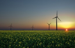 Doel hernieuwbare energie in zicht